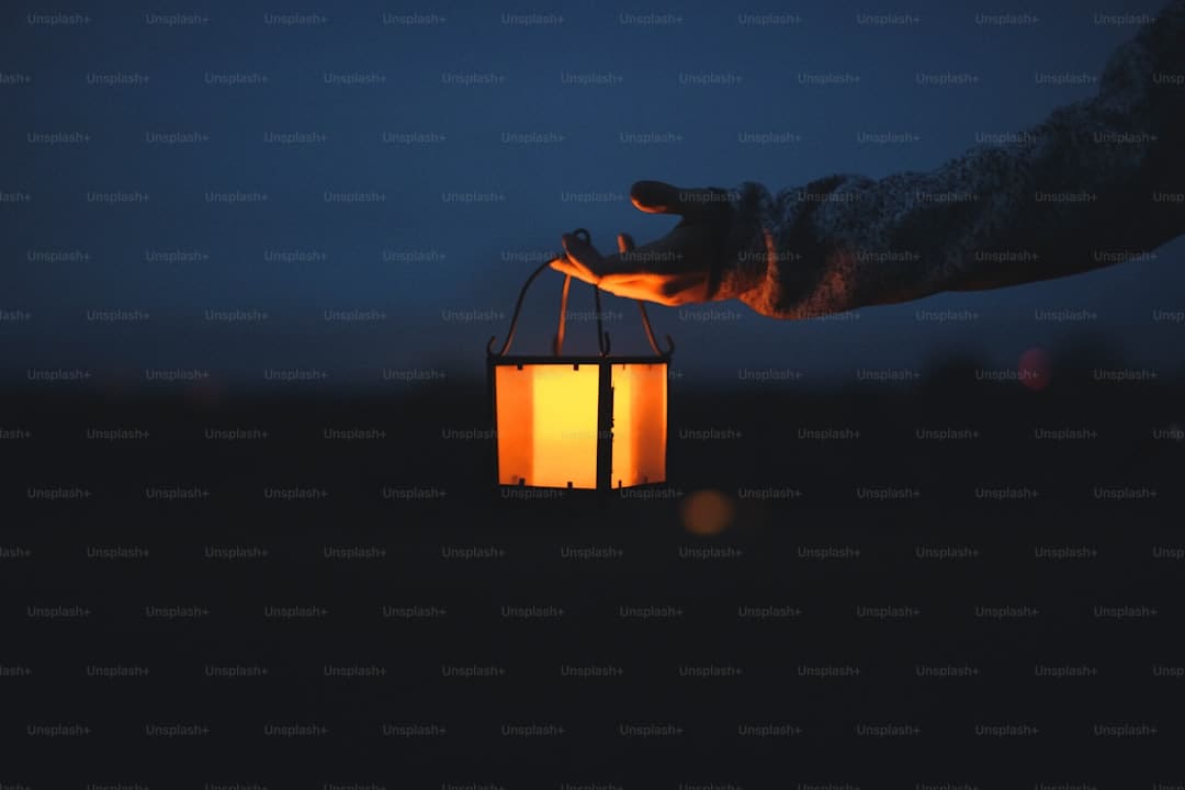 接近大自然 乐享好时光